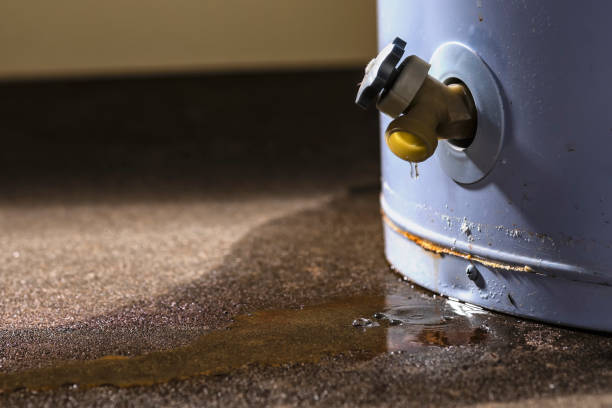 Trusted IL Water damage restoration Experts