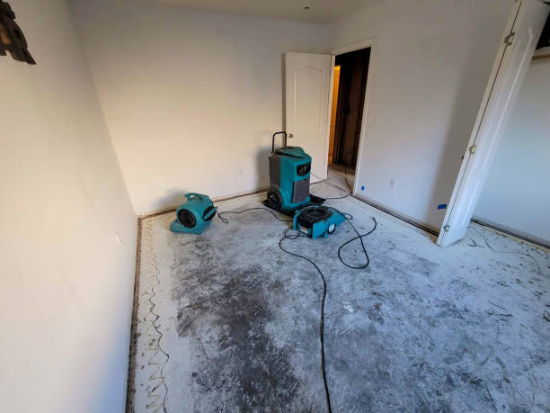 Best Mold removal after water damage  in Lincolnwood, IL