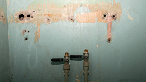 Best Commercial water damage restoration  in Lincolnwood, IL