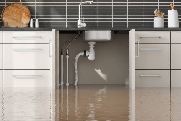 Best Flood damage cleanup  in Lincolnwood, IL