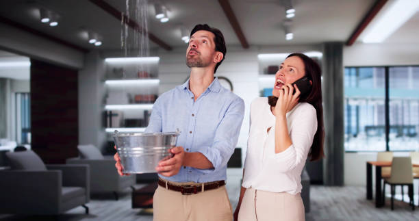 Best Local water damage restoration  in Lincolnwood, IL