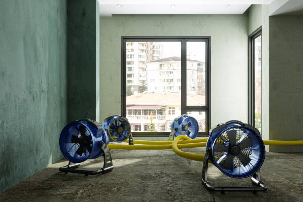 Best Local water damage restoration  in Lincolnwood, IL