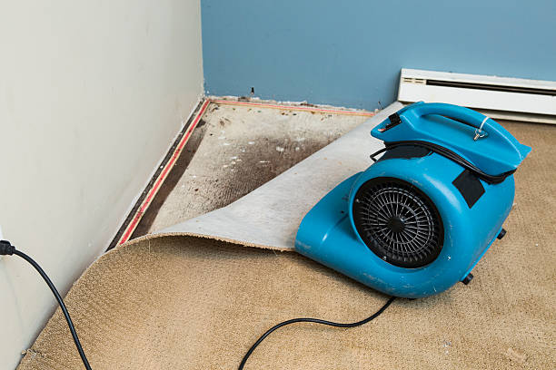 Best Basement water damage restoration  in Lincolnwood, IL